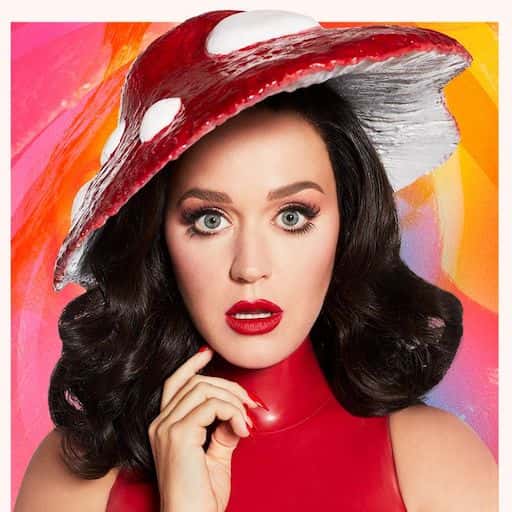 Katy Perry tour